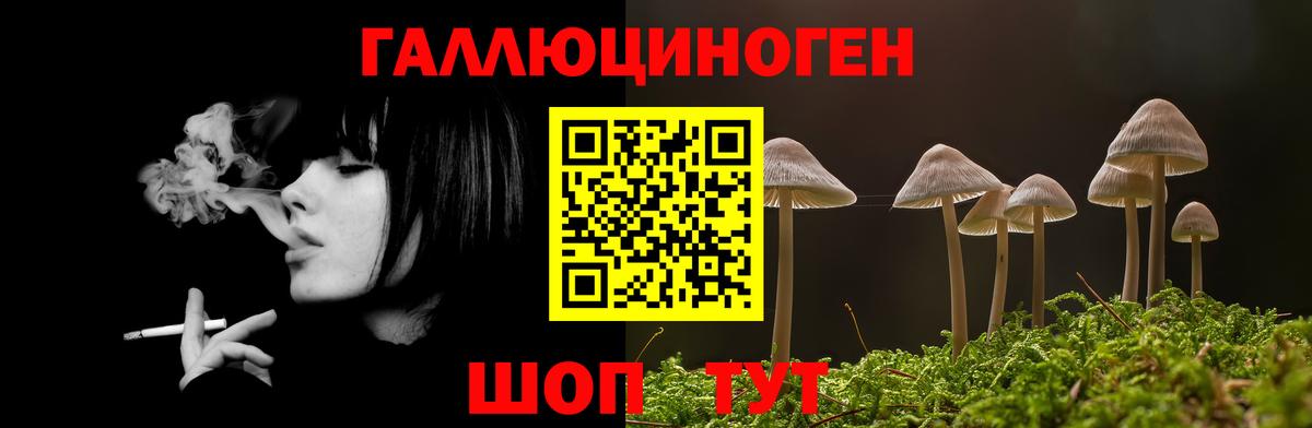 Псилоцибиновые грибы Cubensis  Вход с VPN  где можно купить   Урай 